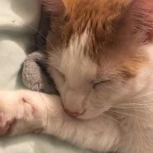 Meet your Posher, Caylee